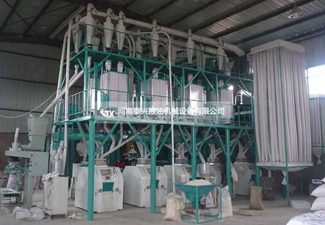 蕎麥面加工設(shè)備